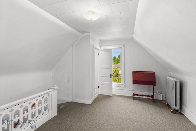 606 S Washington St, Dillon, MT 59725 - bonus room featuring radiator heating unit, vaulted ceiling, and carpet