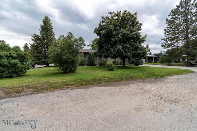 201 W 8th Ave, Big Timber, MT 59011 - view of property hidden behind natural elements with a front yard and driveway