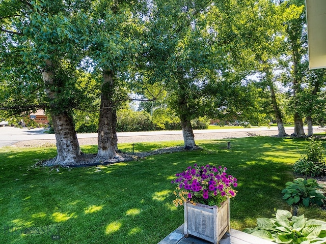 353 Sacajawea Peak Dr, Bozeman, MT 59718 - view of green lawn