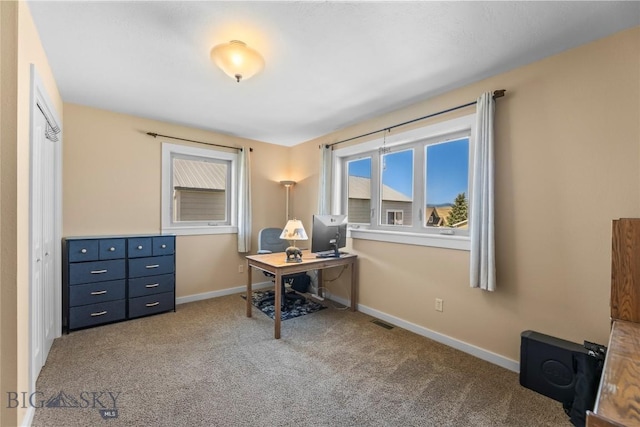 818 N 13th St, Livingston, MT 59047 - carpeted office with baseboards