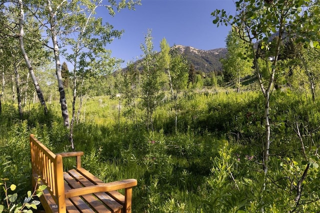 526 Chief Joseph, Big Sky, MT 59716 - view of mountain backdrop