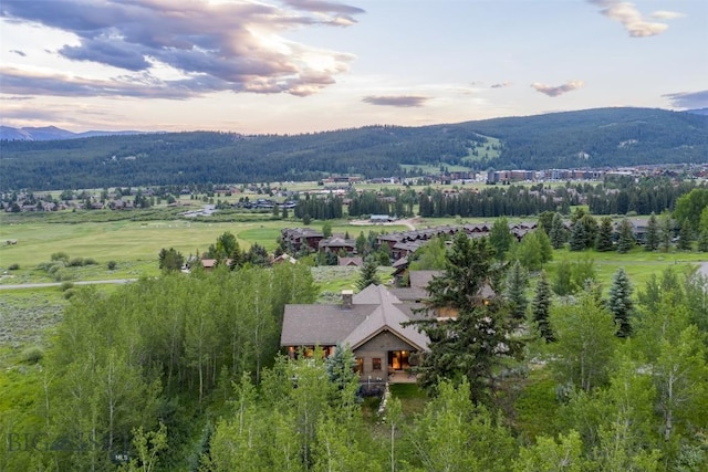 526 Chief Joseph, Big Sky, MT 59716 - aerial view of a mountainous background