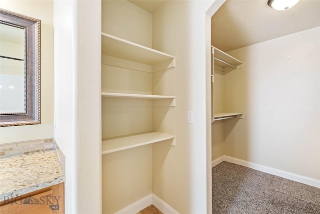 1705 Ingomar Blvd, Belgrade, MT 59714 - walk in closet featuring carpet floors