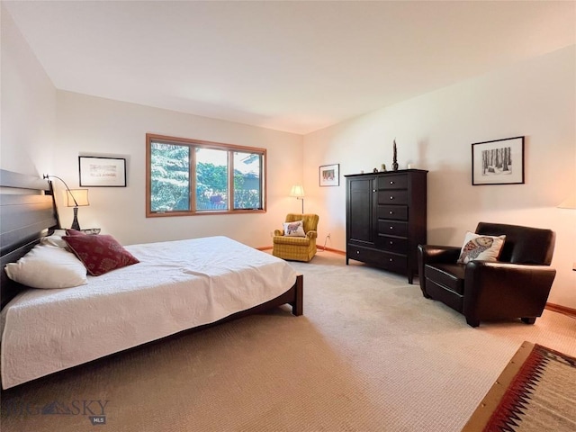 1031 Boylan, Bozeman, MT 59715 - bedroom featuring light carpet