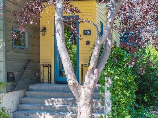 309 N Black Ave, Bozeman, MT 59715 - photo 4