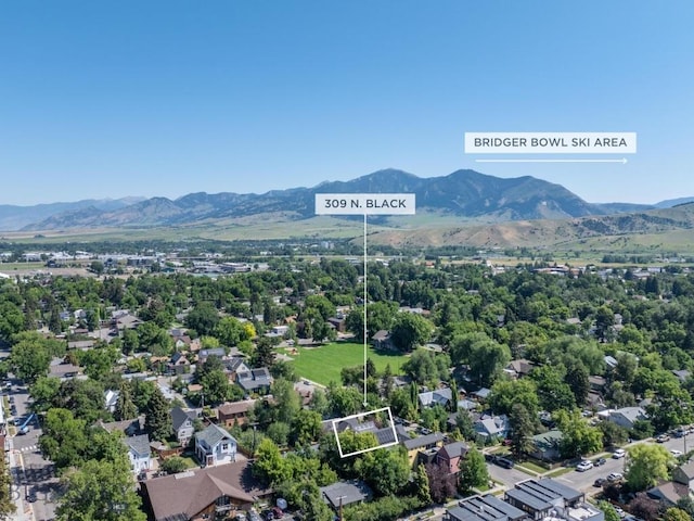 309 N Black Ave, Bozeman, MT 59715 - photo 54