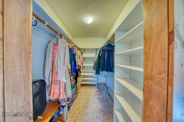 8799 Huffman Ln, Bozeman, MT 59715 - view of walk in closet