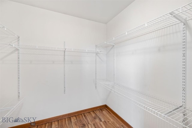 616 W Adams St, Three Forks, MT 59752 - spacious closet with wood finished floors