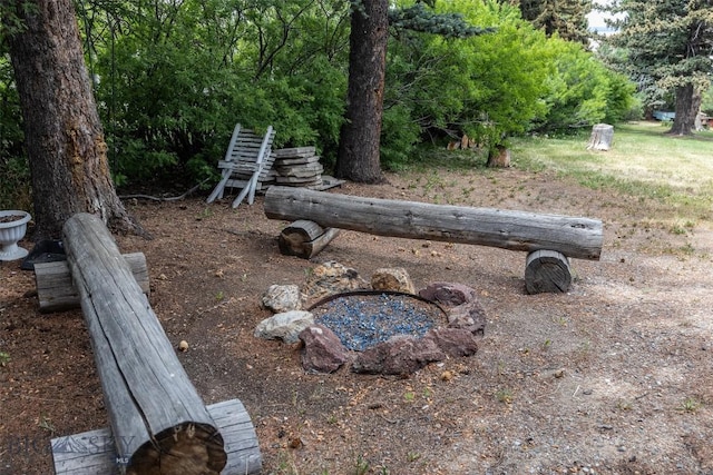 300 Holmes, Butte, MT 59701 - view of yard
