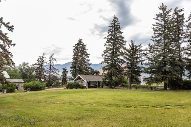 300 Holmes, Butte, MT 59701 - view of green lawn with a mountain view