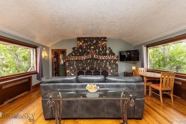 300 Holmes, Butte, MT 59701 - living area with lofted ceiling, a textured ceiling, wood finished floors, healthy amount of natural light, and radiator