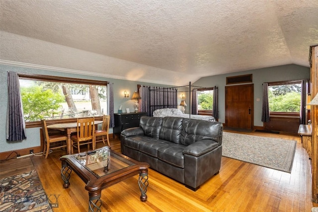 300 Holmes, Butte, MT 59701 - living area with lofted ceiling, wood-type flooring, and a textured ceiling