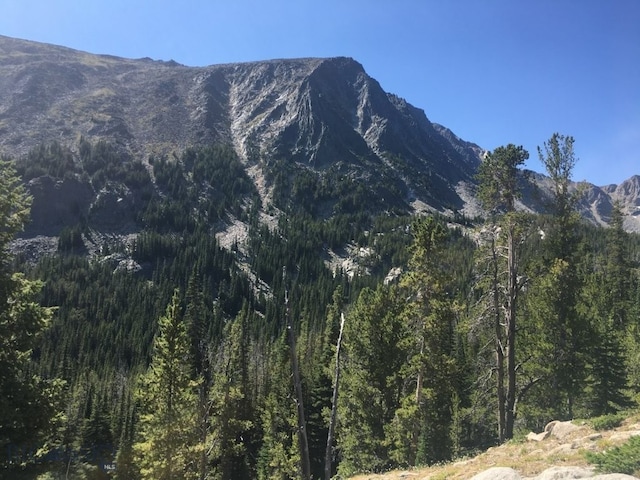 TBD Trapper Creek Rd, Melrose, MT 59743