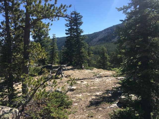 TBD Trapper Creek Rd, Melrose, MT 59743