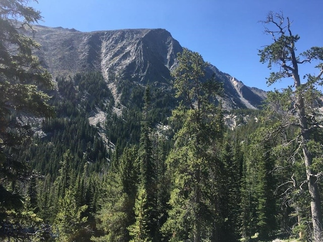 TBD Trapper Creek Rd, Melrose, MT 59743