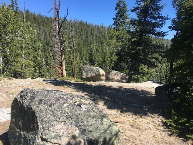 TBD Trapper Creek Rd, Melrose, MT 59743