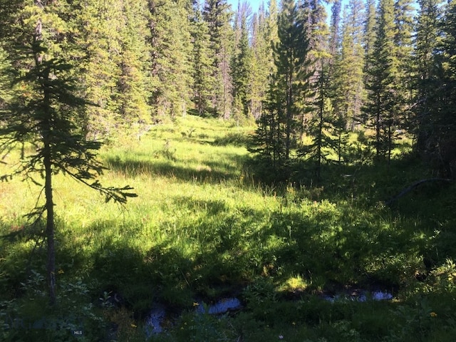 TBD Trapper Creek Rd, Melrose, MT 59743