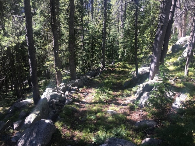 TBD Trapper Creek Rd, Melrose, MT 59743