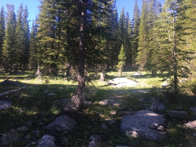 TBD Trapper Creek Rd, Melrose, MT 59743