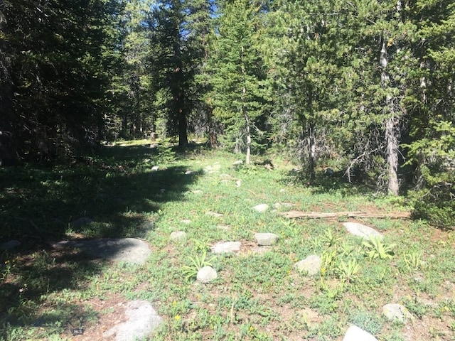 TBD Trapper Creek Rd, Melrose, MT 59743
