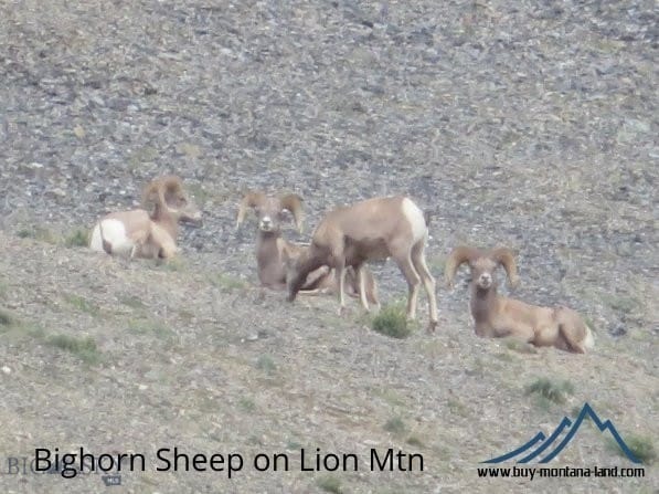 TBD Trapper Creek Rd, Melrose, MT 59743