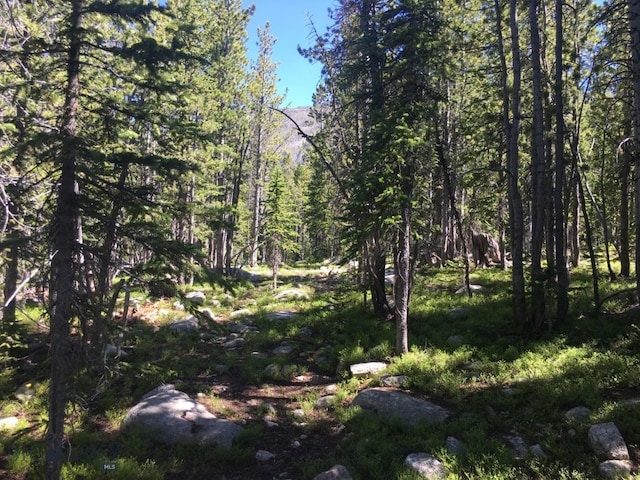 TBD Trapper Creek Rd, Melrose, MT 59743