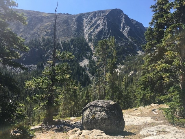 TBD Trapper Creek Rd, Melrose, MT 59743