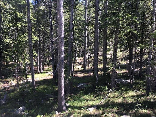 TBD Trapper Creek Rd, Melrose, MT 59743