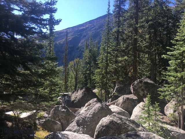 TBD Trapper Creek Rd, Melrose, MT 59743