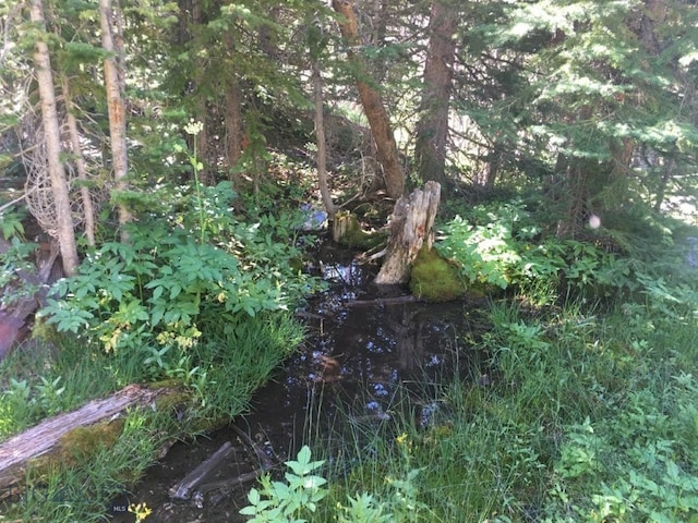 TBD Trapper Creek Rd, Melrose, MT 59743