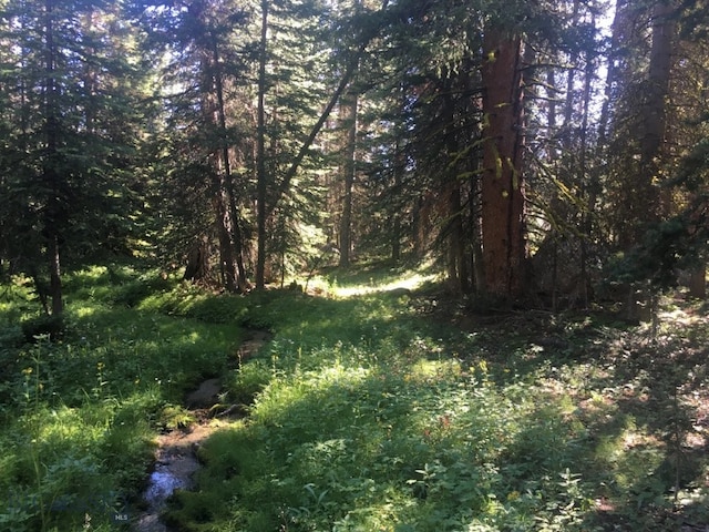 TBD Trapper Creek Rd, Melrose, MT 59743