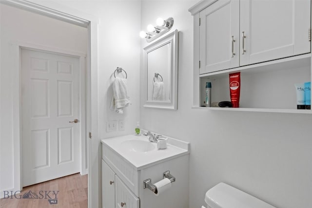 402 Brookline St Unit B, Livingston, MT 59047 - bathroom with vanity and wood finished floors