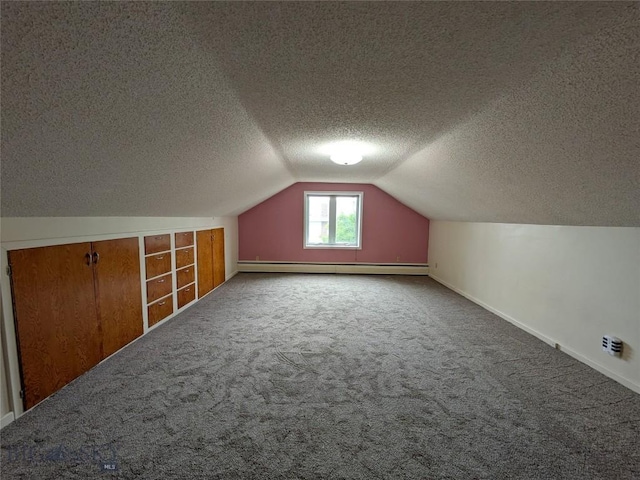 944 Placer, Butte, MT 59701 - additional living space featuring a textured ceiling, baseboard heating, lofted ceiling, and carpet flooring
