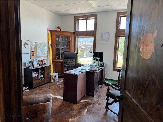 33 Lone Peak Dr Unit 202, Big Sky, MT 59716 - office space with a paneled ceiling and dark wood-style flooring