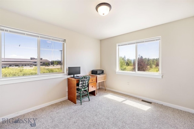 160 Tail Feather Ln Unit D, Bozeman, MT 59718 - office area featuring carpet and baseboards