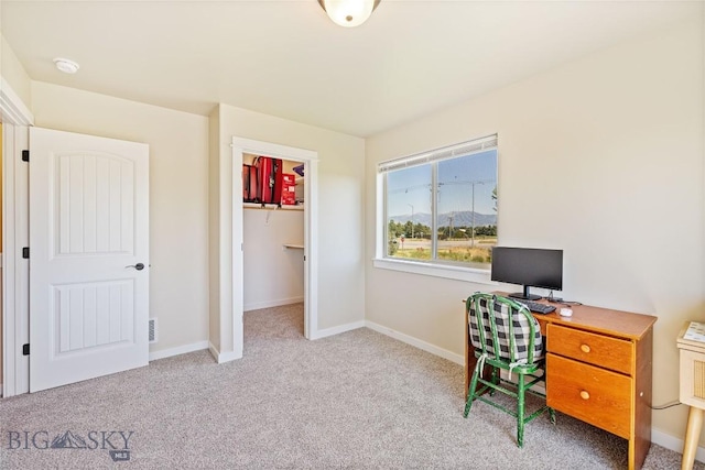 160 Tail Feather Ln Unit D, Bozeman, MT 59718 - home office featuring carpet and baseboards