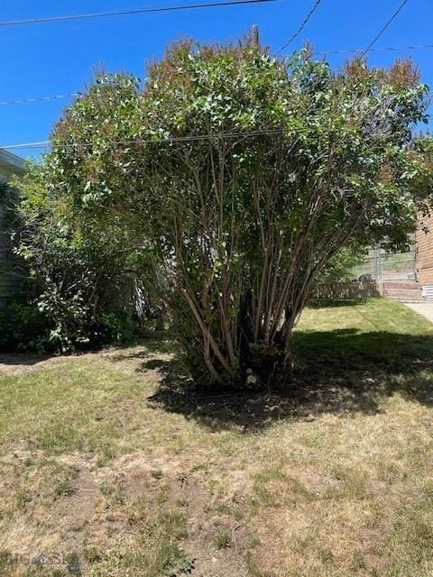 619 Daly St W, Walkerville, MT 59701 - view of green lawn