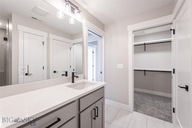 740 Rogers Way Unit B, Bozeman, MT 59718 - bathroom featuring vanity and a walk in closet