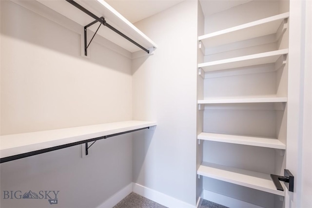740 Rogers Way Unit B, Bozeman, MT 59718 - view of spacious closet