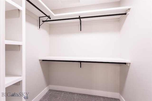 740 Rogers Way Unit B, Bozeman, MT 59718 - spacious closet with carpet