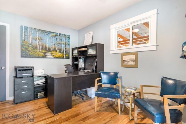 2 Harris Pl, Livingston, MT 59047 - office featuring light wood finished floors