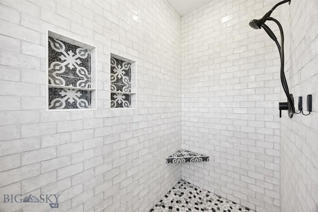915 Point Of Rocks Rd, Whitehall, MT 59759 - bathroom featuring tiled shower