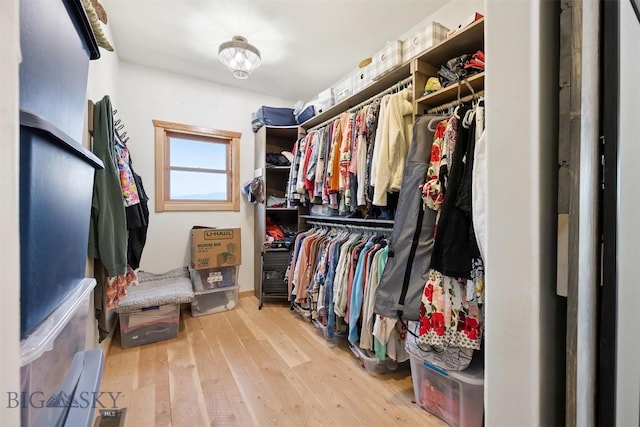 915 Point Of Rocks Rd, Whitehall, MT 59759 - walk in closet with wood finished floors