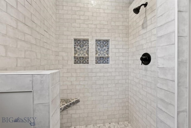 915 Point Of Rocks Rd, Whitehall, MT 59759 - bathroom featuring tiled shower
