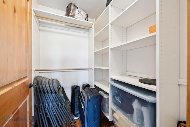 915 Point Of Rocks Rd, Whitehall, MT 59759 - view of walk in closet