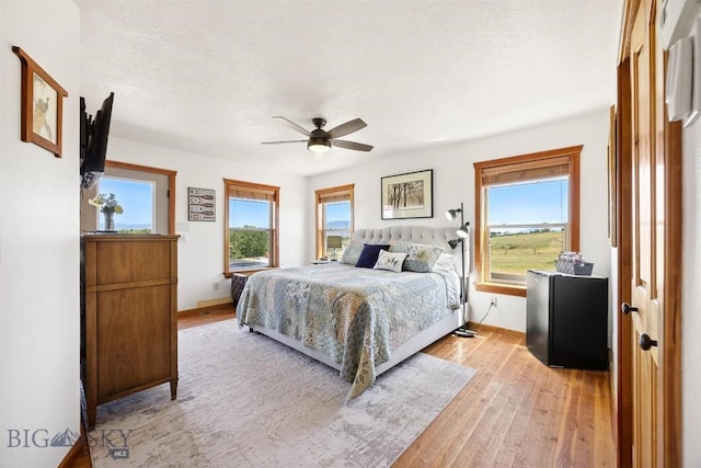 915 Point Of Rocks Rd, Whitehall, MT 59759 - bedroom with light wood finished floors, multiple windows, and a ceiling fan