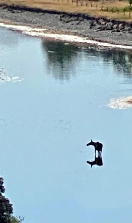 915 Point Of Rocks Rd, Whitehall, MT 59759 - outdoor pool with a water view