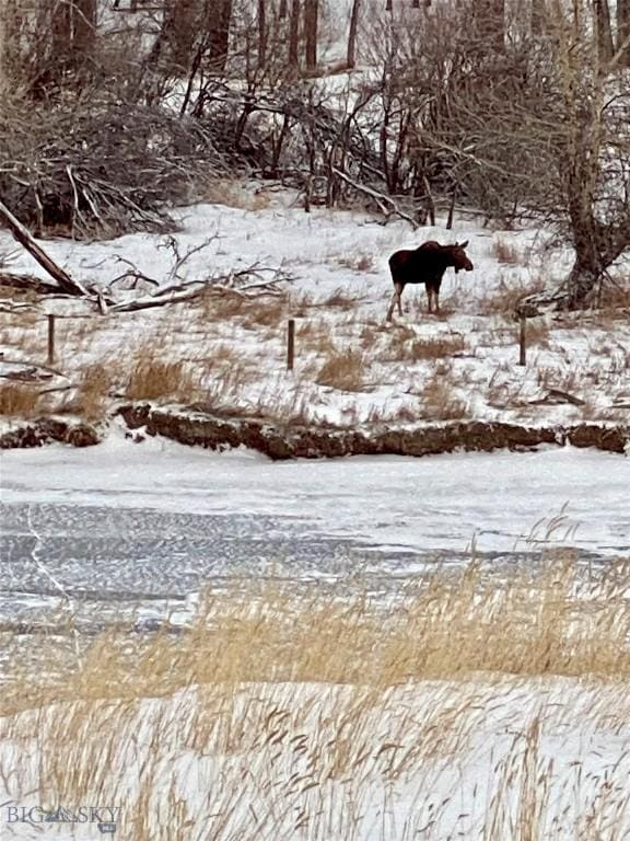 915 Point Of Rocks Rd, Whitehall, MT 59759 - view of property's community