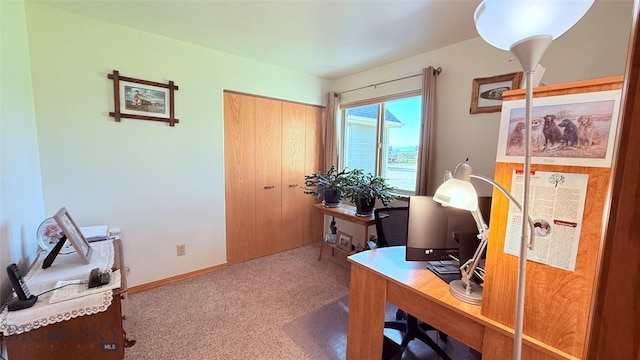 129 E Tobiano Trl, Belgrade, MT 59714 - office space with carpet flooring