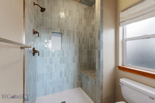 74 W Clara Ct, Bozeman, MT 59718 - full bath with a tile shower and toilet